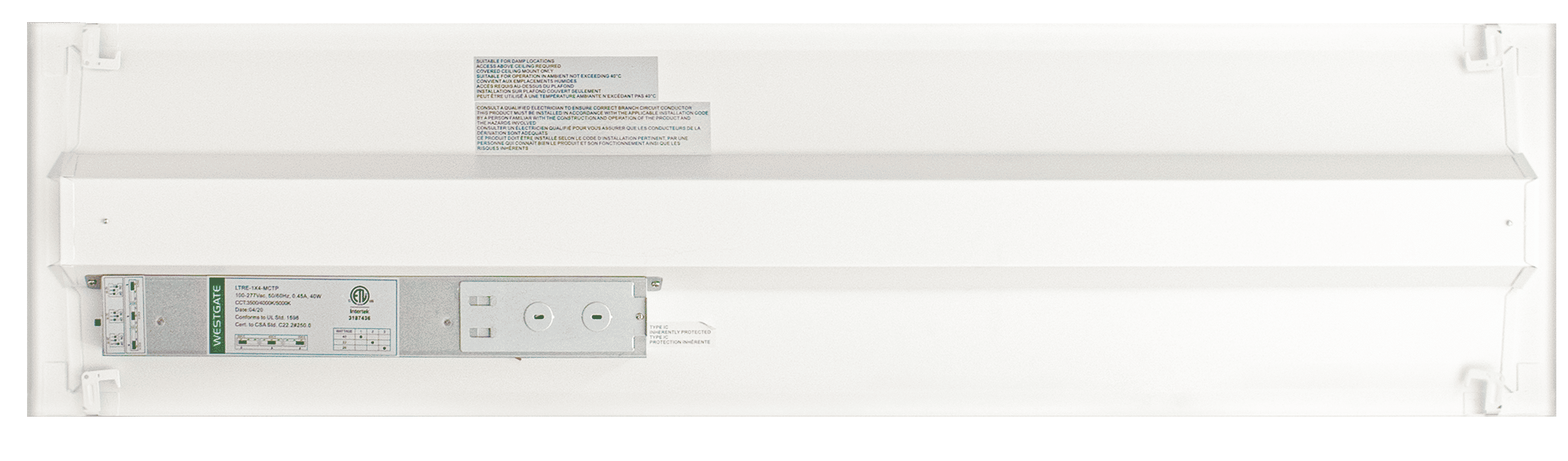 LTRE 1X4 Back View.png